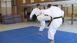 KARATE  Tiger Karate  Shotokan and mix of martial arts [upl. by Madelon325]