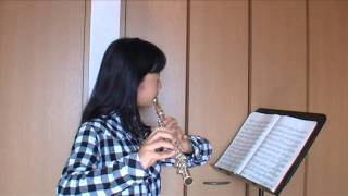 Flute KOEHLER OP331 No4 [upl. by Laise]