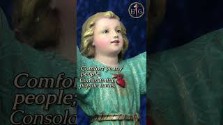 RORATE CAELI Traditional ADVENT hymn complete hymn in description [upl. by Dralliw]