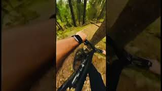 Mountain Biking  Fly off a drop and hit a 🌳 mtb mountainbiking sendit rainstormjig [upl. by Bohlen175]