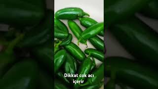 Kışlık Patlıcan ve biber kızartma sosu food nefisyemektarifleri kışlıkhazırlık youtubeshorts [upl. by Kcirneh956]