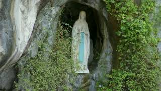 Rosary from Lourdes  12112023 [upl. by Frohne]