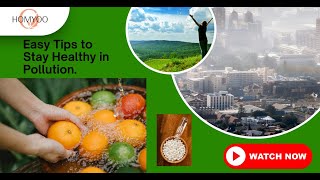 5 Simple Diet Tips to Stay Healthy During Pollution  Homyoo Wellness [upl. by Aneekan]