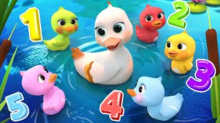 5 Little DucksLearn Colors Song  Lalafun Nursery Rhymes amp Kids Songs  cocomelon [upl. by Hillell]