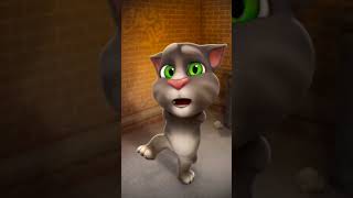 talking Tom cat funny comedy ll Billi comedy [upl. by Chaing]