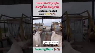 Iam farmer no toll gate 🌾🌾🐂🐂 [upl. by Posehn]