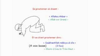 Apprendre La Prière Salat El Dohr  2ème prière de la journée [upl. by Dolloff]