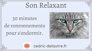 Son Relaxant  30 min de RonRonthérapie pour dormir comme un bébé grâce aux ronronnements des chats [upl. by Hgielrebma]