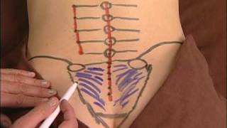 Anatomy Drawing of the Sacroiliac Ligaments [upl. by Imik]