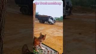 DumpTruk Isuzu Muatan PasirDumpTruk TrukIsuzu Short cat kucinglucu [upl. by Stanfield777]