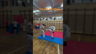 Dawid Michno Taekwondo team [upl. by Amalie]