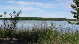 Bergwitzsee FKK Strand [upl. by Ardnaz232]