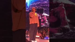 Tyler The Creator Brings Out Donald Glover during Coachella Set 2024 [upl. by Tlihcox]