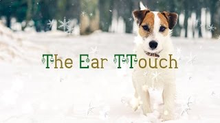 Day 18 The Ear TTouch [upl. by Nelyaw41]