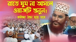 যে ওয়াজ শুনে কেঁদেছে লাখো মানুষ আল্লামা দেলোয়ার হোসাইন সাঈদী  হযরত মোহাম্মদ সা এর জীবনী  Waz [upl. by Ninette]