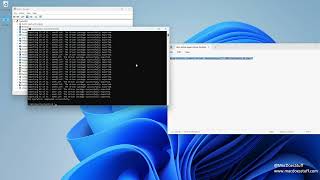 Backup your Windows Driver Set  QUICKLY [upl. by Naitsihc]