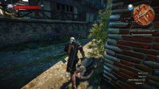 Doors Slamming Shut Witcher Contract  Witcher 3 [upl. by Eyot]