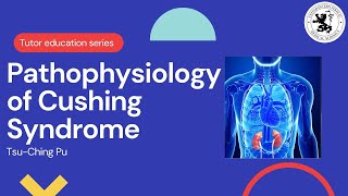 Pathophysiology of Cushing Syndrome [upl. by Meerek]