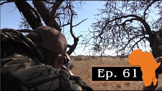 Hunting red hartebeest in Molopo Ep 61 [upl. by Odnumde]