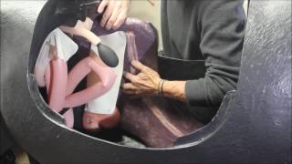 VSI Equine Palpation Colic Simulator [upl. by Hoxsie]