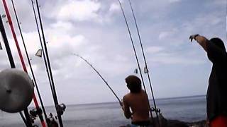 Tazs Fish 8 White Ulua  4911 1 of 3 vids [upl. by Aenet]