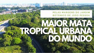 Maior Floresta Urbana de Mata Atlântica  Mata do Buraquinho em João Pessoa [upl. by Edita]