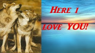 Here I Love You by Pablo Neruda read by Gilberto Graywolf [upl. by Anallij]