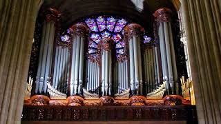 JS BACH  Toccata adagio and fuga BWV 564 at Notre Dame de Paris Best version ever [upl. by Arej866]