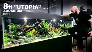 Building Utopia 8ft Planted Aquarium FINAL [upl. by Aliekat]