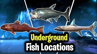 Skyrim AE  Underground Fish Locations challenge 4 [upl. by Esille]