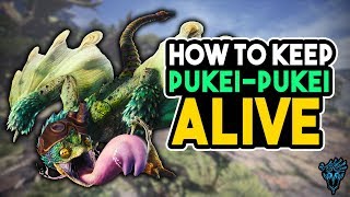 MHW How To ALWAYS Keep PukeiPukei Alive in Witcher Quest  Monster Hunter World [upl. by Selinski]