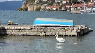 Ohrid 6 oct 2024 [upl. by Brander]