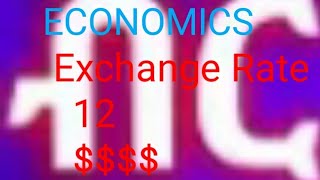 Economics Important Questions  Exchange Rate Explained [upl. by Donnell882]