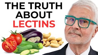 Dr Gundry on Lectins  What Lectins Can do to YOUR Health  Inflammation amp Leaky Gut [upl. by Trela]