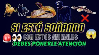 SIGNIFICADO DE SOÑAR CON ANIMALES  SI ESTÁ TENIENDO ESTOS SUEÑOS DEBES PRESTARLE ATENCIÓN😱👀☝️ [upl. by Rabassa650]