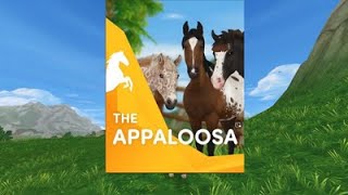 star stableAPPALOOSA TRAILER [upl. by Ahsetal102]