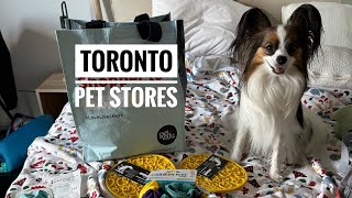 Toronto pet stores  Lojas pet Toronto [upl. by Holofernes]