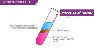 20 detection of Nitrate ion 3rd year secondary [upl. by Willi]