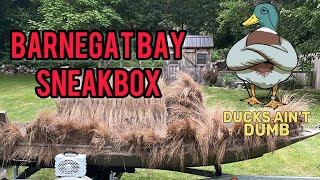 Barnegat Bay Sneakbox The ultimate duck hunting boat [upl. by Kiernan189]