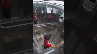 Boys Incredible Reflex Saves Dog from Elevator Disaster 🐶🚪 [upl. by Notlrac]