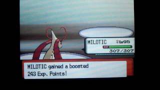 EXTREME EV Training Milotic 69 Sp Attack [upl. by Travers]