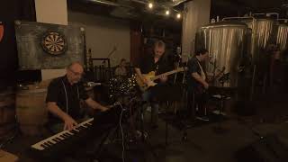 Sweet Home Chicago  The Mad Slap Tones at Four City Brewing Company [upl. by Allemaj548]