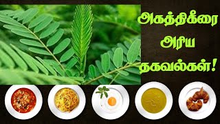 💥அகத்திகீரை அரிய தகவல்கள்  benefits  tamil  spinach [upl. by Aneerak]