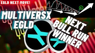 MultiversX EGLD Crypto Coin The Next Bull Run Winner [upl. by Drarreg]