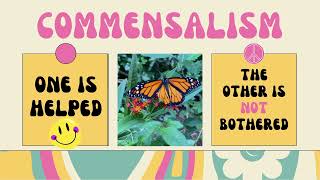 Quick Life Science for Kids Symbiosis Commensalism 5th Grade Science [upl. by Servais523]