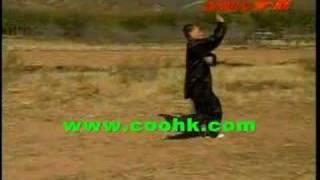 Cheng style Bagua Kung Fu  Ziwu Yuanyang Yue [upl. by Sivolc]