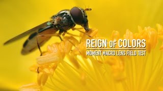 Reign of Colors  Moment Macro lens [upl. by Yelyac]