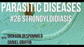 Parasitic Diseases Lectures 26 Strongyloidiasis [upl. by Arther]