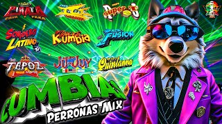 ⚡SUPER MIX CUMBIAS SONIDERAS LIMPIAS 2024😎CUMBIAS PERRONAS MIX CUMBIAS PARA BAILAR TODA LA NOCHE💃 [upl. by Mcquade2]