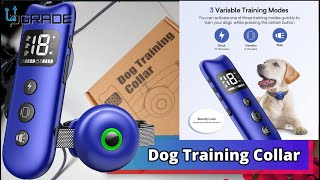 Dog Training Collar  Well D Dog Training System [upl. by Aihtela379]